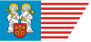 Flag of Poznań County