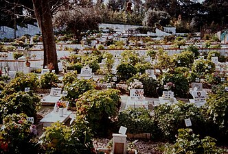 Pet cemetery in Lisbon, Portugal
