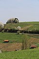 Rovni - panorama