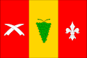 Bandeira de Seloutky