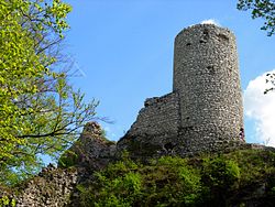 Castle ruins