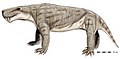 Sycosaurus