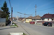 Street in Viișoara