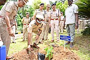 DGP, ANI attending Plantation drive.