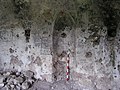 The mihrab.