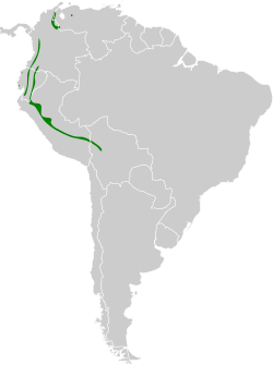 Distribución geográfica del frutero escamoso.