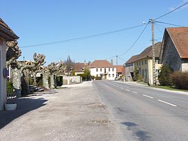 The main road in Aubigny-en-Plaine