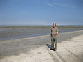 En baie de Somme