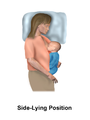 Breastfeeding – Side-lying position.