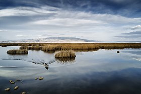 Image illustrative de l’article Lac d'Eber