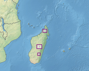 Description de l'image Ecoregion AT1011.svg.