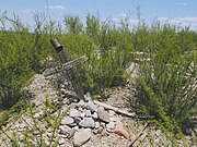 The Fairbank Cemetery, badly overgrown with creosote..