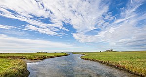 20. Platz: Matthias Süßen mit Landschaft auf Hallig Hooge im Ramsar-Gebiet S-H Wattenmeer