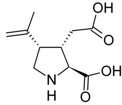 Image illustrative de l’article Acide kaïnique