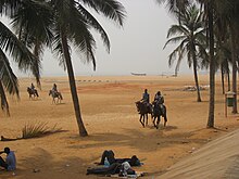 Two riders in a desert landscape with palm trees