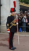 The Drum Major of the Royal Artillery Band in full dress.