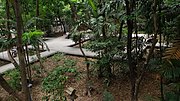 A series of paths in the forest park taken from a platform.