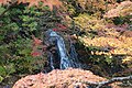 中野紅葉山　不動の滝