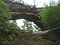 Природна арка в національному парку Daniel Boone National Forest, Кентуккі, США.