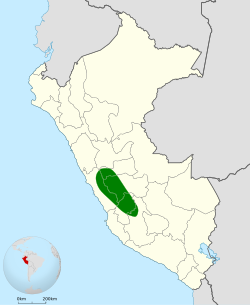 Distribución geográfica del colibrí pechinegro