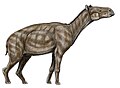 Paleotherium magnum