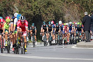 The peloton in Savona