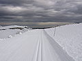 Piste de ski de fond