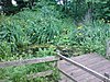 Pond in Railway Fields