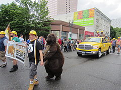 Oregon Bears