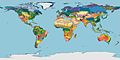 Image 6Terrestrial Ecoregions of the World (Olson et al. 2001, BioScience) (from Ecoregion)