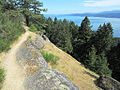 Hiking trail on Bodega Ridge