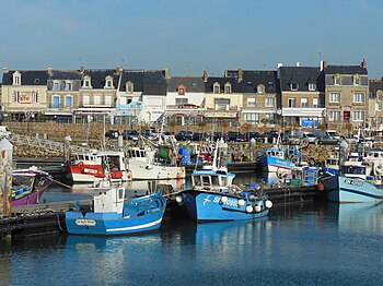 Vue d'un port de pêche, bateaux bleus au premier plant, habitations au fond.