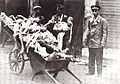 Image 3Emaciated corpses of children in Warsaw Ghetto.