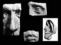 Parts of the face