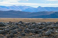 Курганы в Чуйской степи