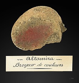 Broyeur de couleurs. Muséum de Toulouse.