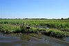 Bure Broads and Marshes