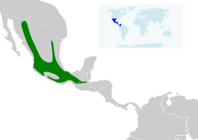 Distribución geográfica de la reinita coronirrufa.