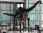 Skelettabguss von Diplodocus im Berliner Hauptbahnhof