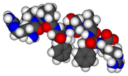 Bradykinina