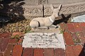 Grave of a deer belonging to a Key West family