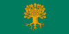 Flag of Sēja Municipality