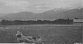 A view of Gallatin National Forest in 1921