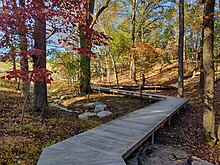 A boardwalk passes through a forested area.