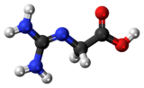 Ball and stick model of a glycocyamine minor tautomer