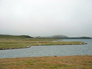 川辺を覆う霧状雲