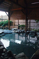 Heiseikan Shiosaitei Yunokawa Onsen