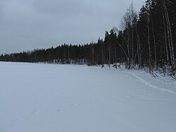 Kaakkurilammen talvista itärantaa.