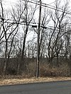 Utility pole with lechis attached, Mahwah, New Jersey