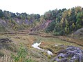 Blick in das Naturschutzgebiet von Eingang aus